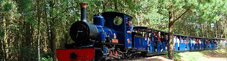 Exbury Gardens & Steam Railway