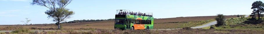 The New Forest Tour Open Top Bus