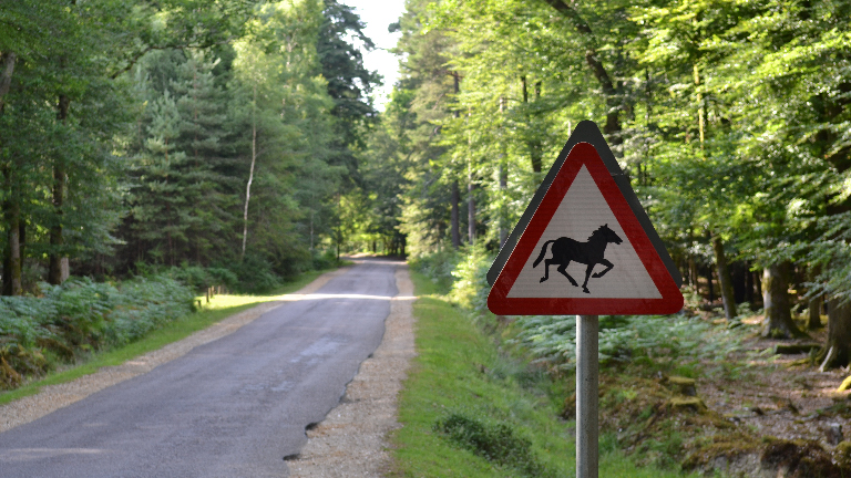 horse-road-sign