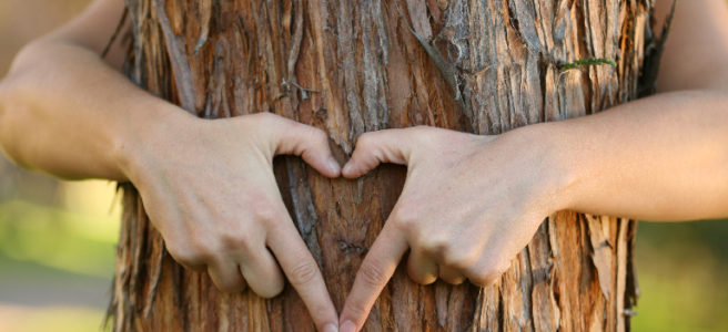 tree_hugging