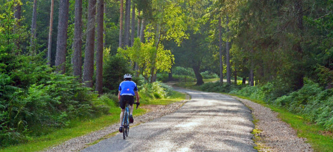 Cycling_New_Forest