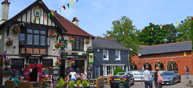 new-forest-pub