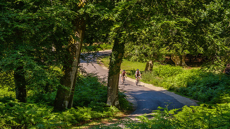 couple-cycling-new-forest