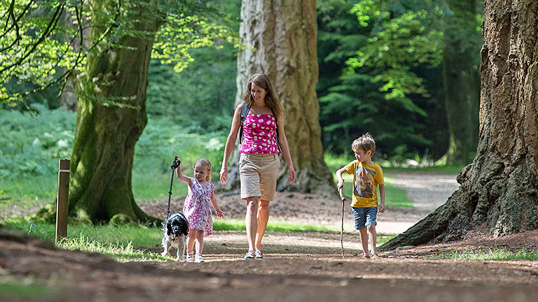 young-family-walking-in-new-forest