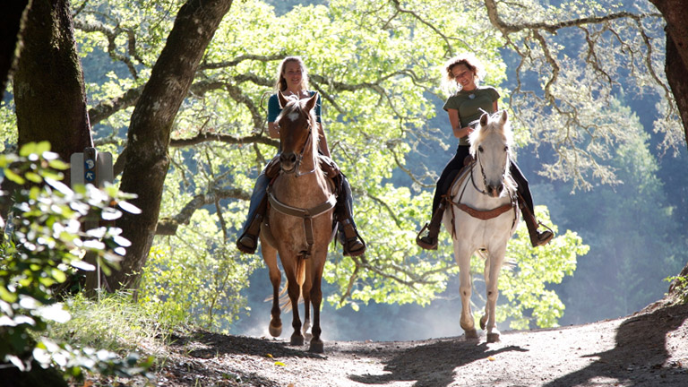 new-forest-horse-riding