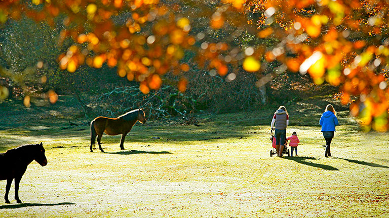autumn-family-walk-new-forest