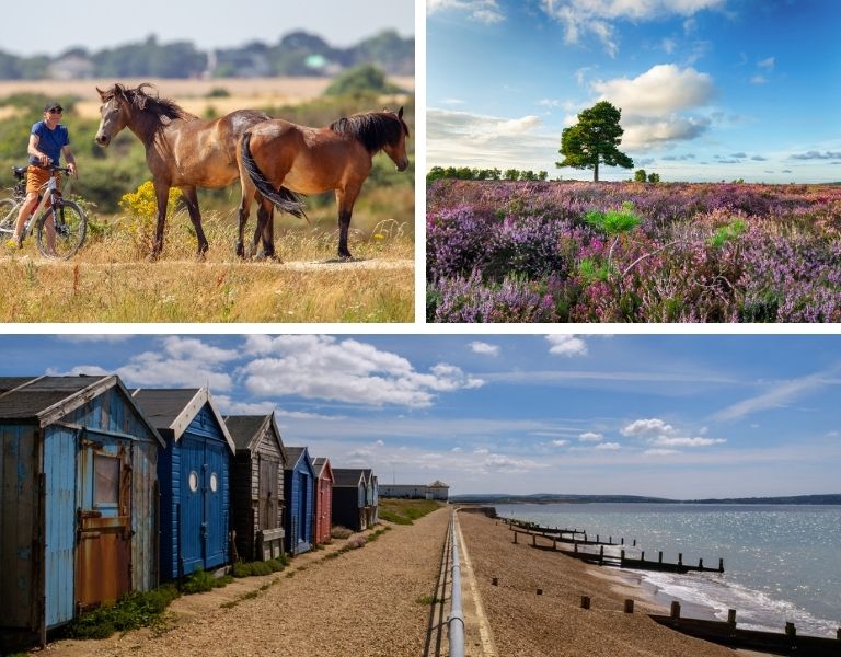 Get your Summer Holidays Booked – Here’s Why – New Forest Cottages Blog
