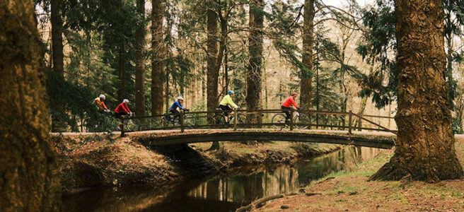 cycling-new-forest